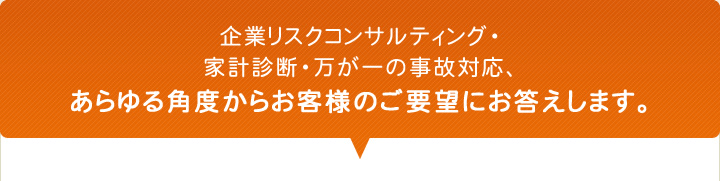 企業リスクコンサルティング・家計診断・万が一の事故対応、あらゆる角度からお客様のご要望にお答えします。