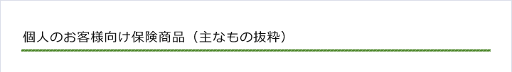 個人のお客様向け保険商品（主なもの抜粋）