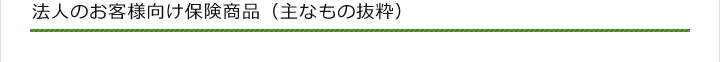 法人のお客様向け保険商品（主なもの抜粋）