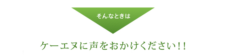 ケーエヌに声をおかけください！！